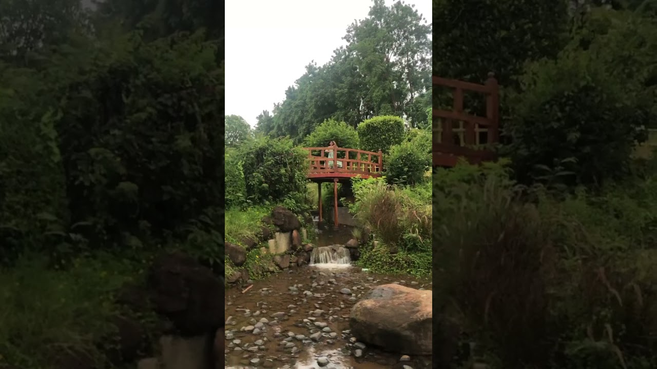 Free Bird in Okayama Friendship Garden | Japanese garden, Pune #travel #maharashtra