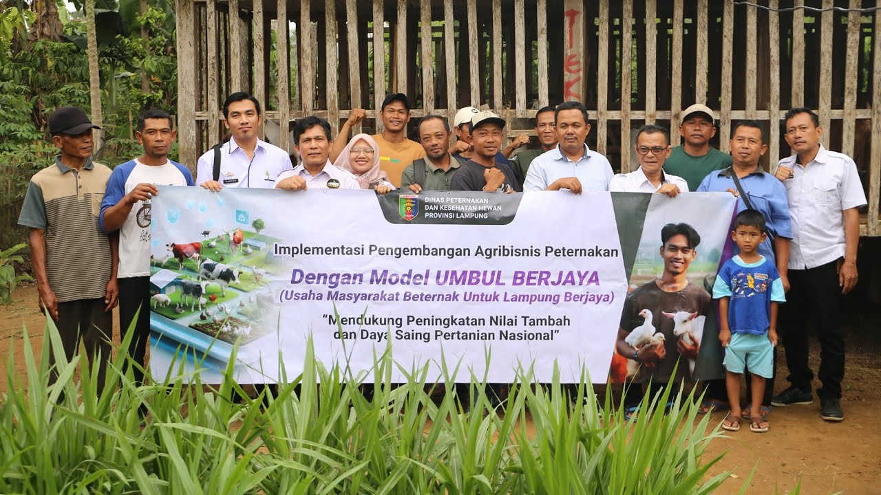 Strategi Pengembangan Agribisnis Peternakan dengan Model UMBUL BERJAYA