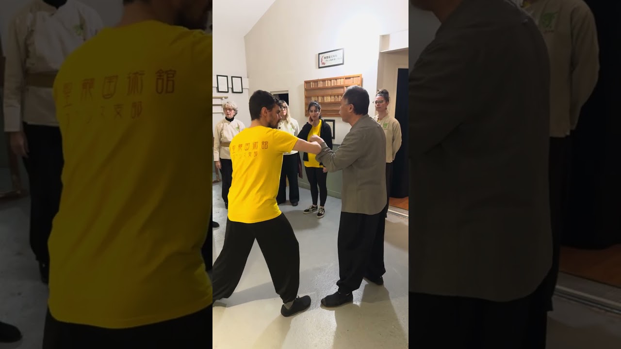 Arts martiaux internes - Taichi Chuan - Mains collantes  - étape II #taijiquan #tuishou