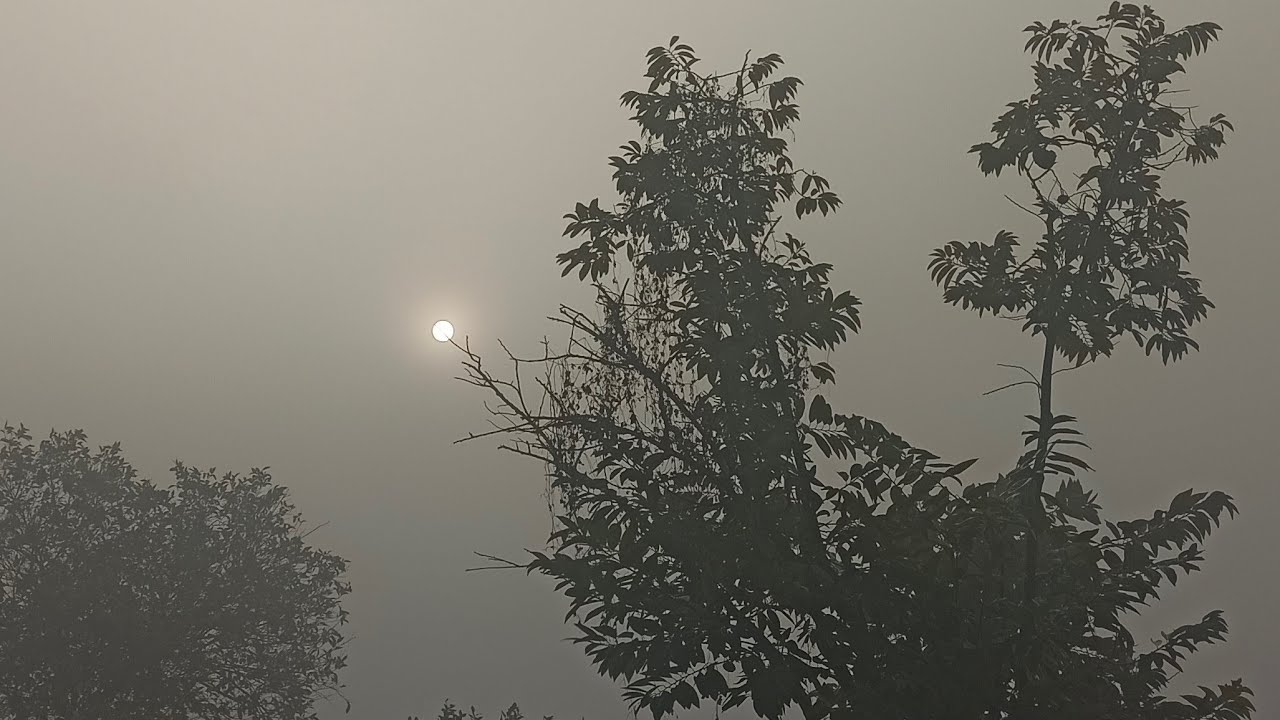 15/01/2026 part -2 Nature's View's Live Stream Free Subscribers Or Channle Prmothion 🥰🤗
