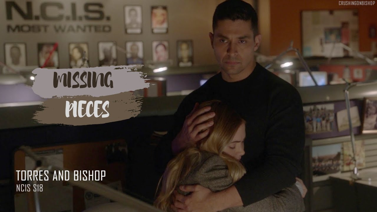 Nick Torres and Ellie Bishop | The Last Season [NCIS S18]