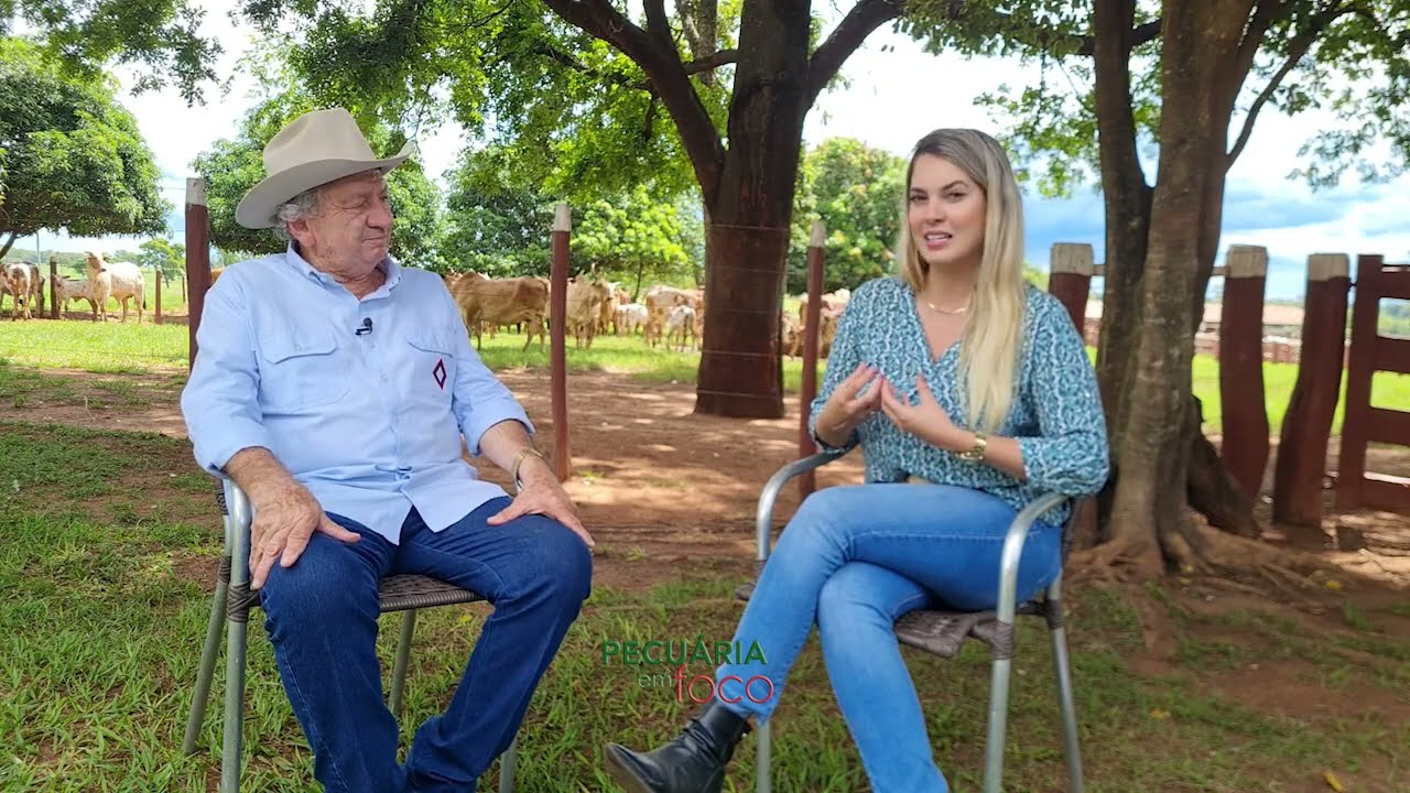 PECUÁRIA EM FOCO - 14º LEILÃO REALEZA NELORE PINTADO PO - HÉLIO CORREA DE ASSUNÇÃO