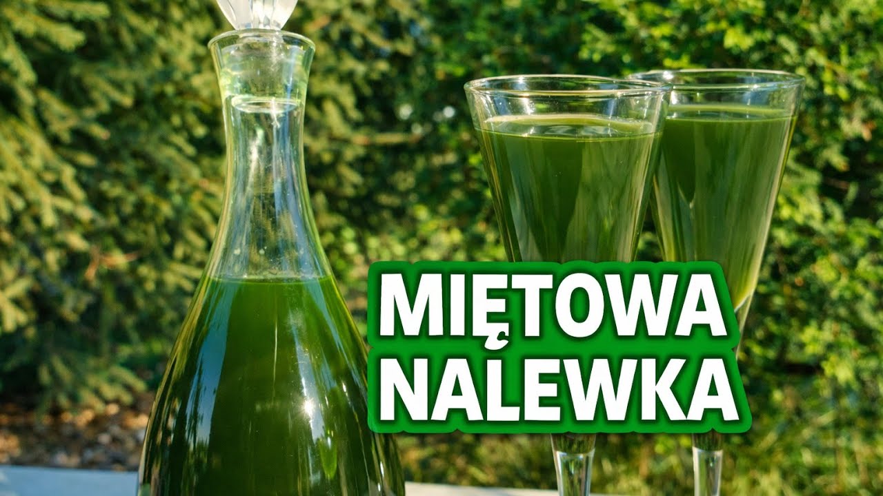 Nalewka z mięty – aromatyczna i orzeźwiająca domowa receptura 
