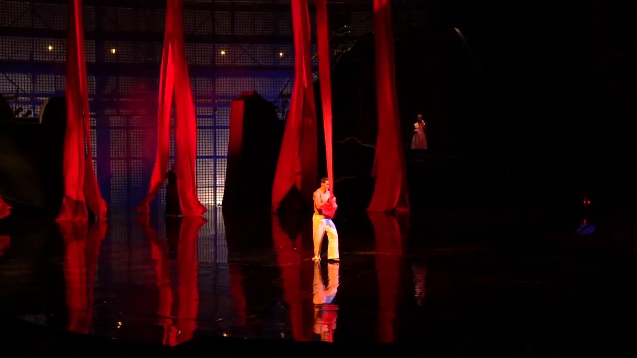 David Poirier/Center Tissu (La Nouba) Cirque du soleil