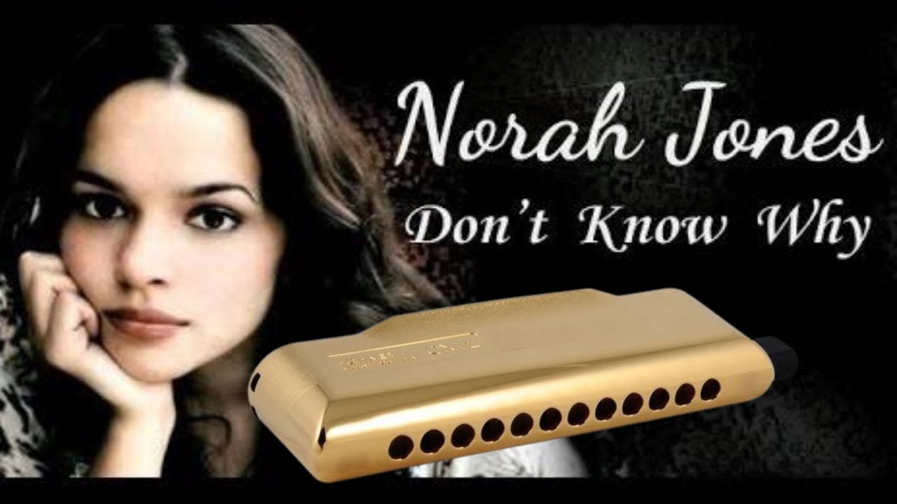 Don't Know Why | Marcio Scialis - Harmonica Cover