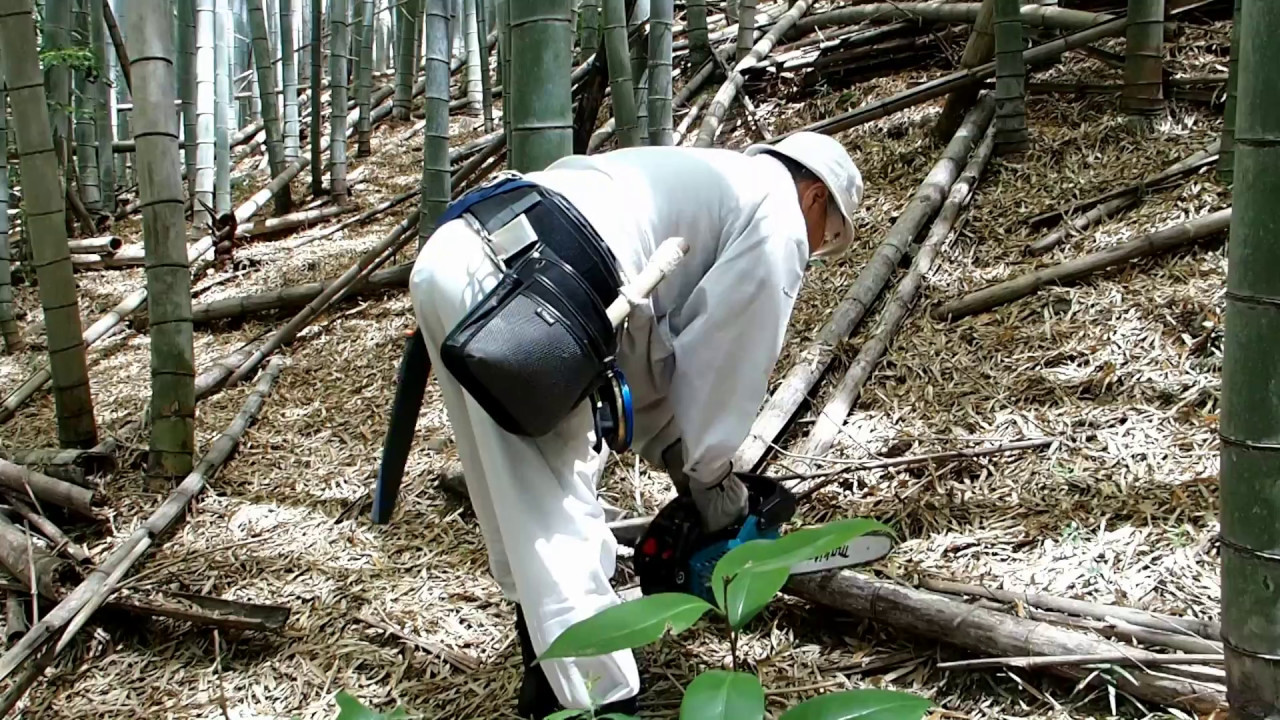 【竹山整備 No.4】エンジン式チェーンソーで竹伐採(MEA3110TM)