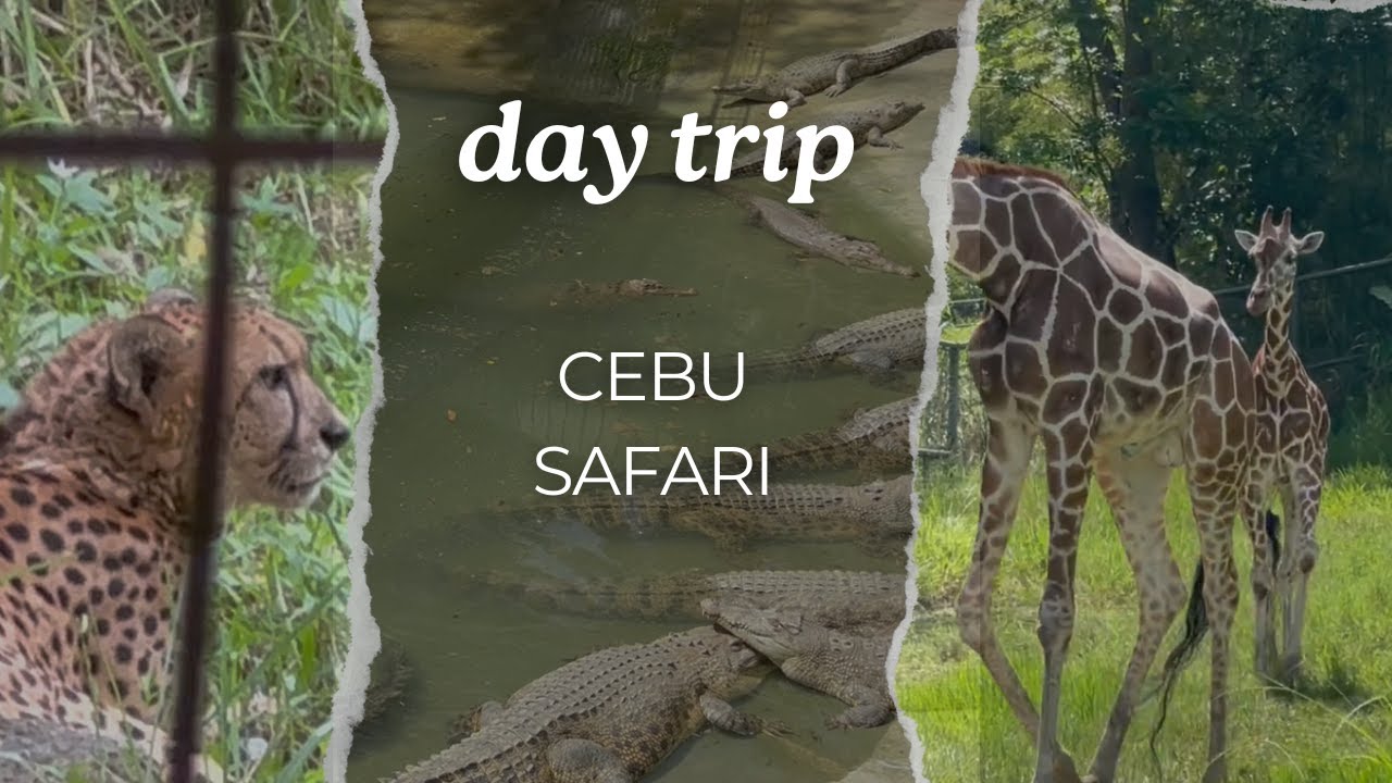 Cebu Safari & Adventure Park Day Trip Tour