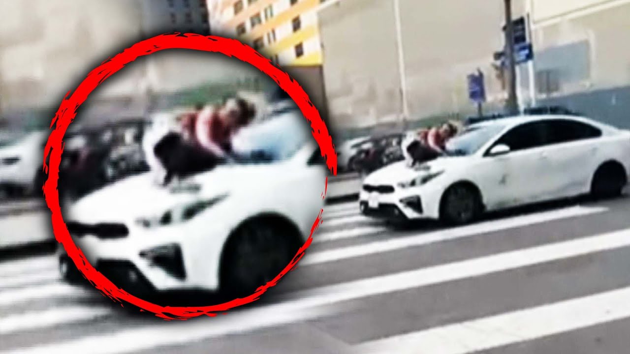 Bulldog Owner Clings Onto Speeding Car to Save Stolen Canine