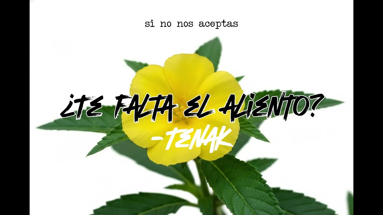 &iquest;Te falta el aliento?-Tenak(Version melancolica extendida)