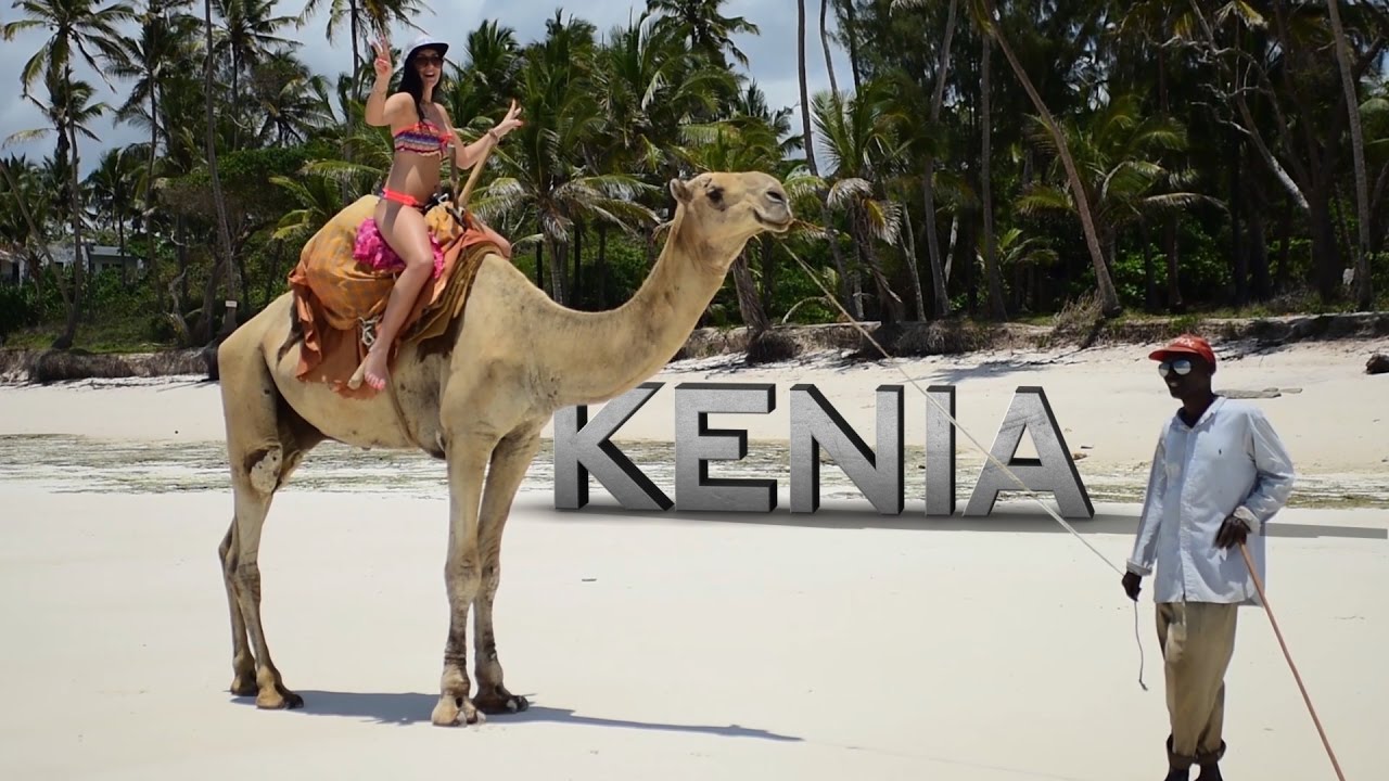 KENYA , DIANI SEA RESORT, DIANI BEACH, Safari adventure, Saltlick, 10.2016, WAKACJE KENIA, Holiday
