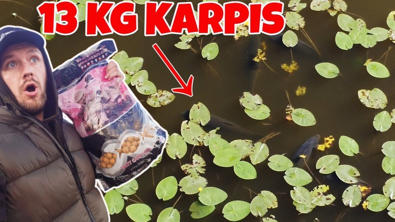Karpių Būriai Šildosi Paviršiuje. Kaip Pagauti? Testuojam Naujus Jaukus. Karpininko Dienoraštis #49
