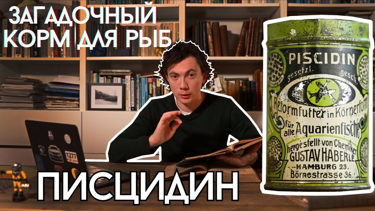 Писцидин — тайна секретного корма для аквариумных рыбок