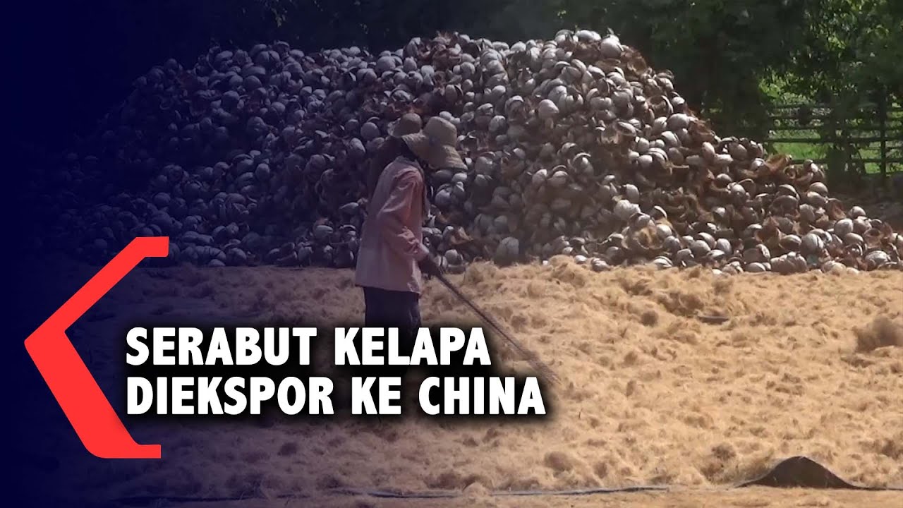 Serabut Kelapa Madura Diekspor ke China untuk Bahan Matras dan Jok Mobil