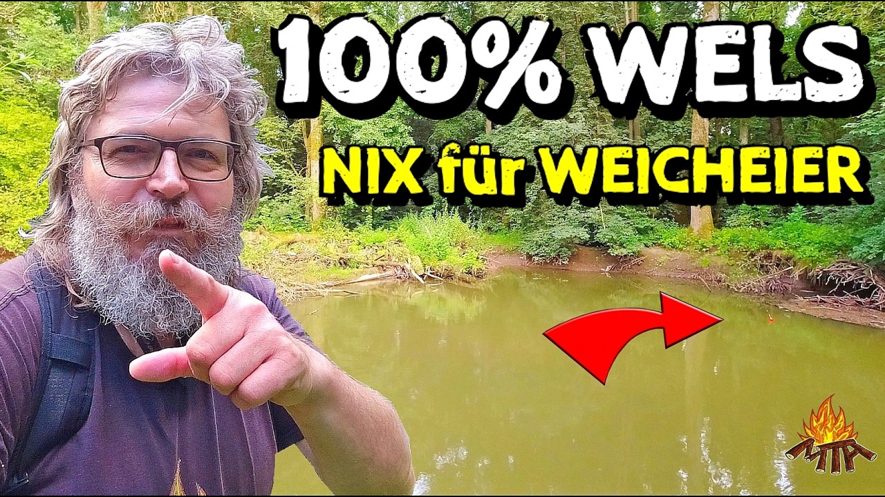 WALLER angeln am kleinen Fluß ist nix für FISCHgeier & WeichEIER