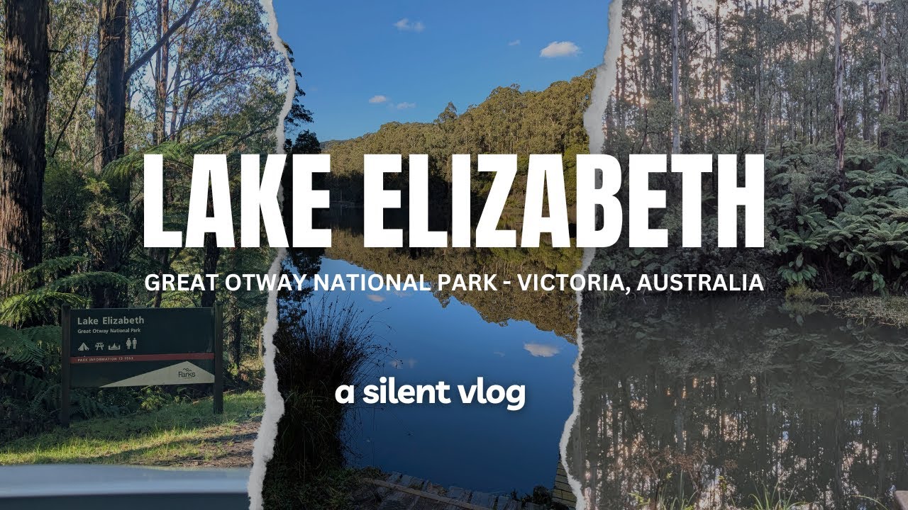 Silent Hike to Lake Elizabeth - Great Otway National Park | Relaxing Nature Sounds | 4K Walk