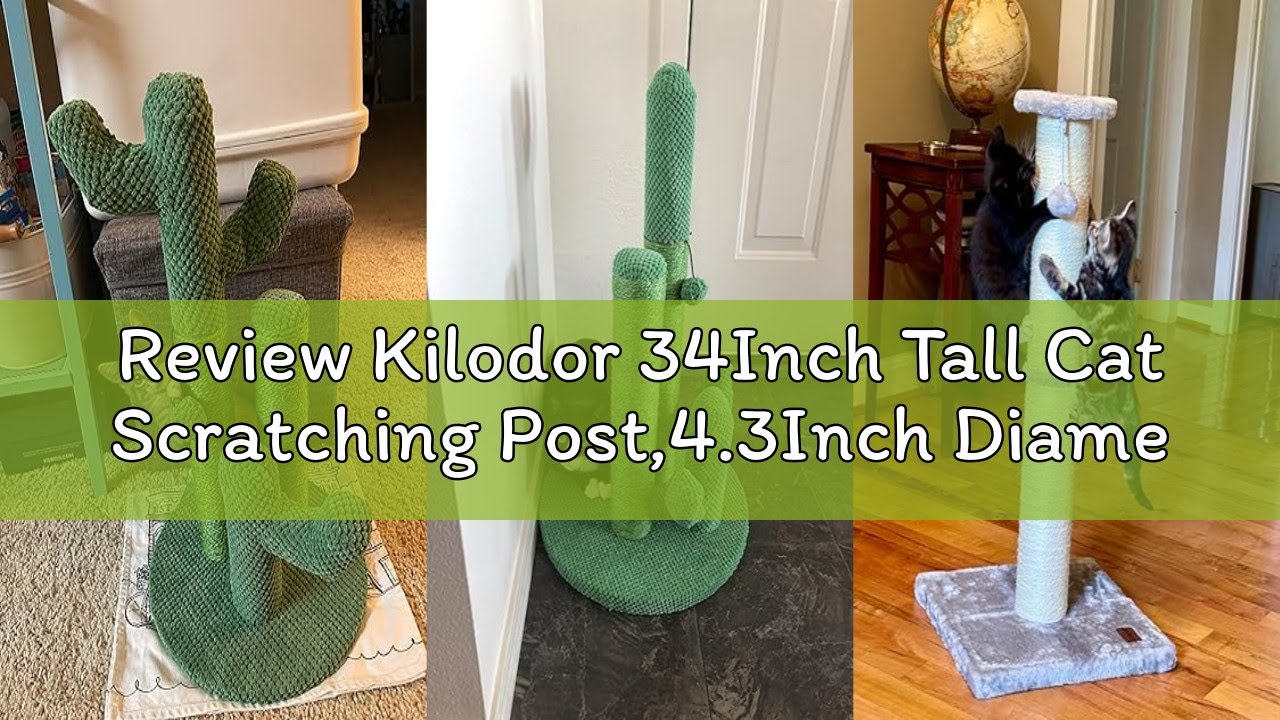 Review Kilodor 34Inch Tall Cat Scratching Post,4.3Inch Diameter Large Sisal Cat Scratch Post with Ba