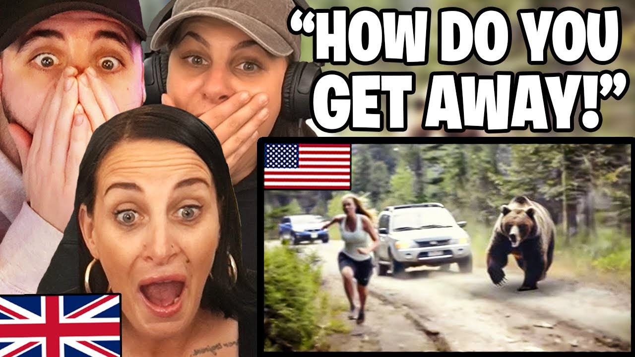 British Family Reacts to When Bears Go On A Rampage in the US!