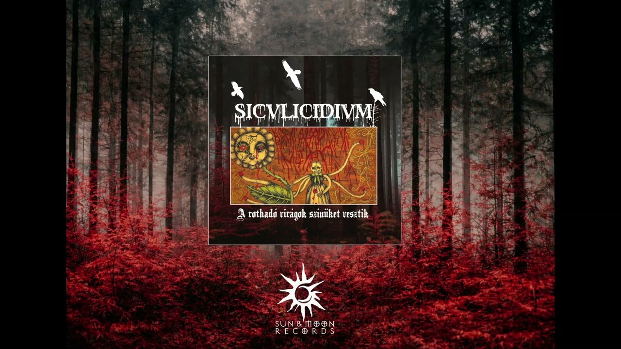 Siculidium - A rothadó virágok színüket vesztik (2012)