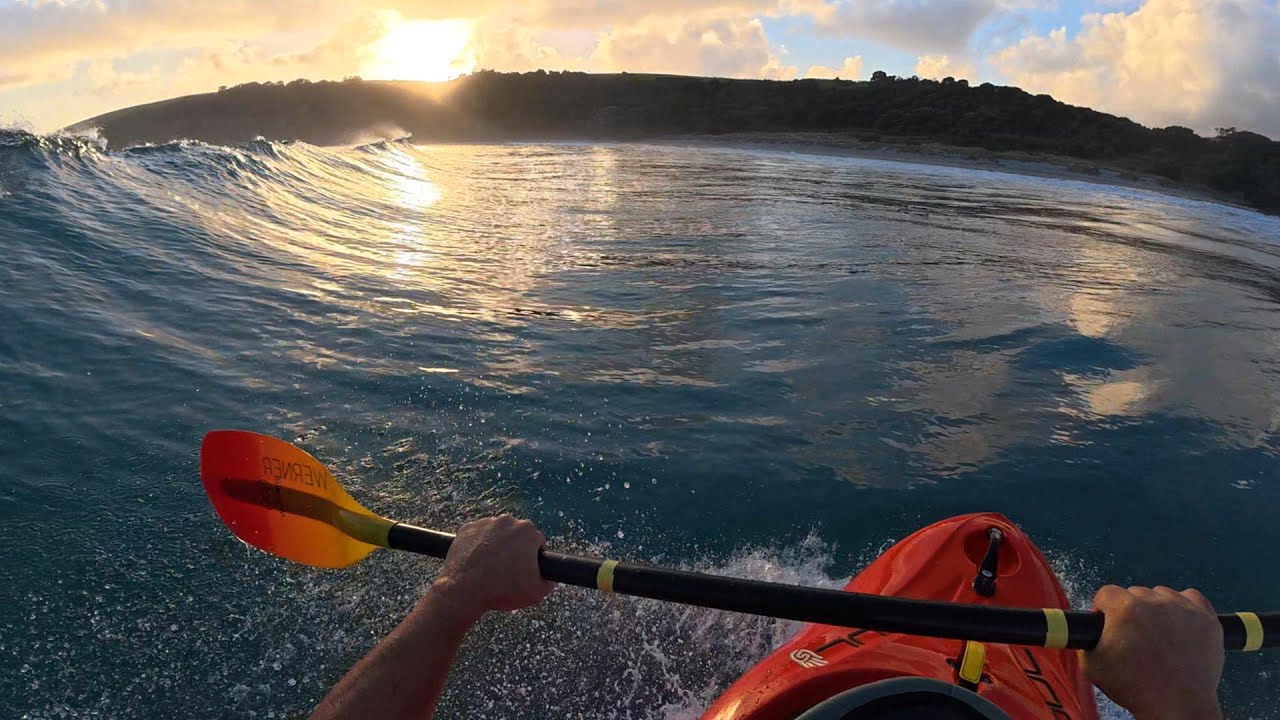 2026-01-31 Tawharanui