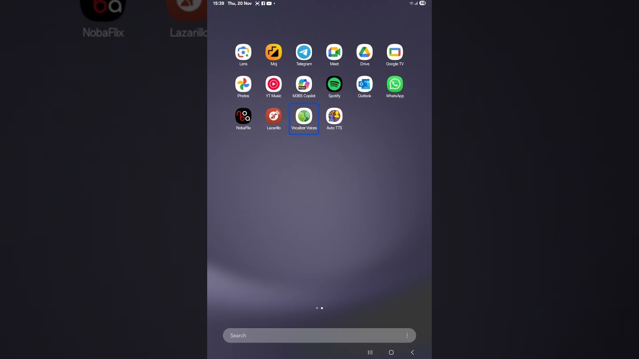 How to configure auto TTS and vocalizer TTS 
