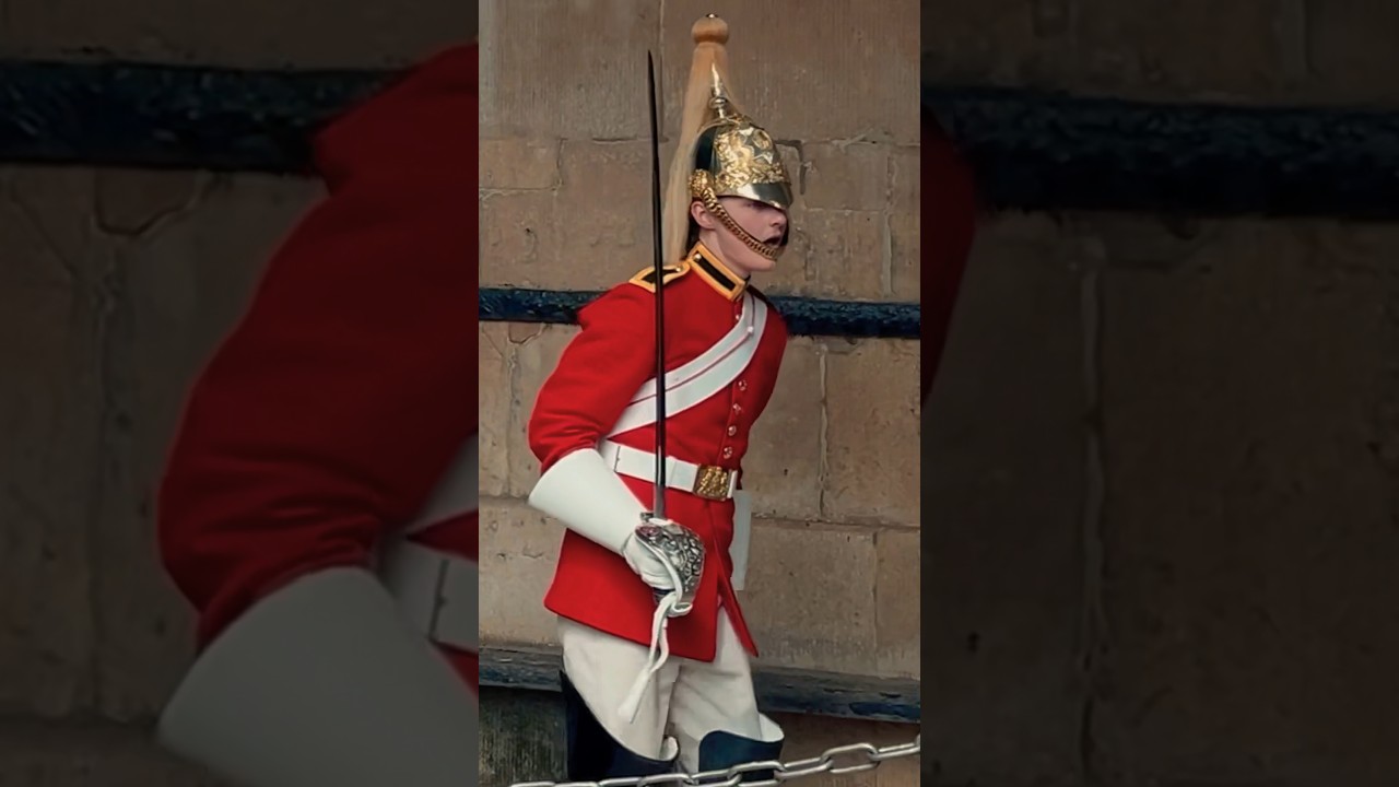 GET BACK! ROYAL GUARD ENFORCE BOUNDARIES! 💂| Horse Guards, Royal guard, Kings Guard, Horse, London