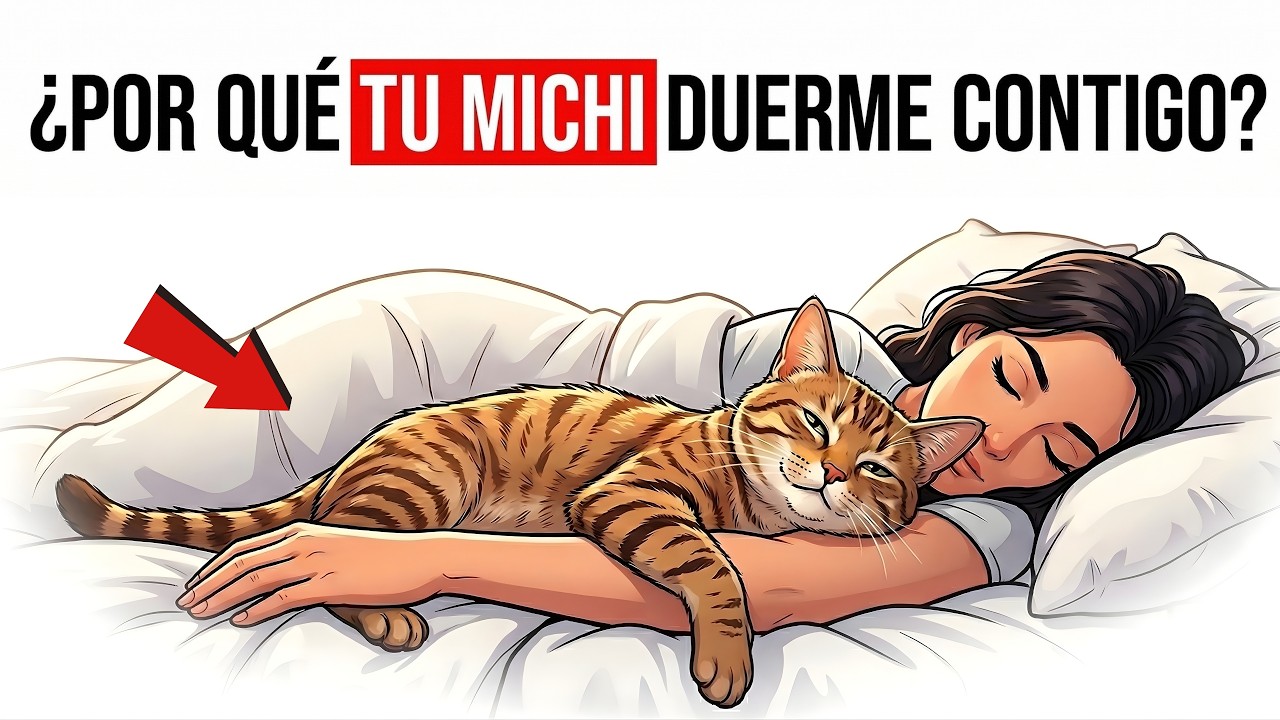 ¡Si tu Michi Duerme Contigo, te Está Queriendo Decir Esto!