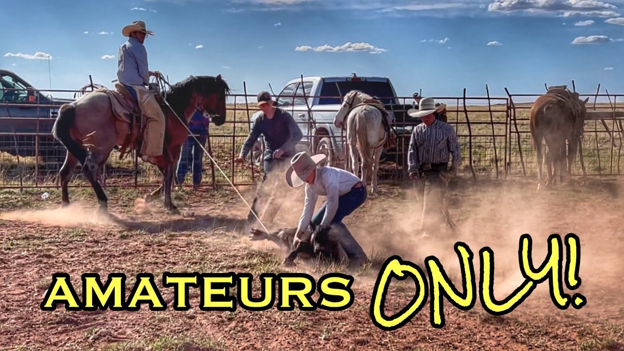 NOT a typical branding day | All about the BROODMARES