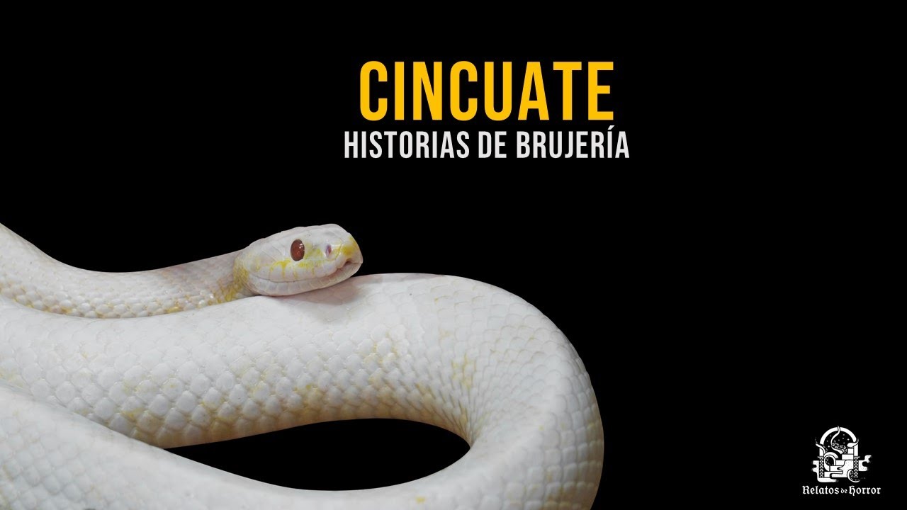 Cincuate (Historias De Terror)