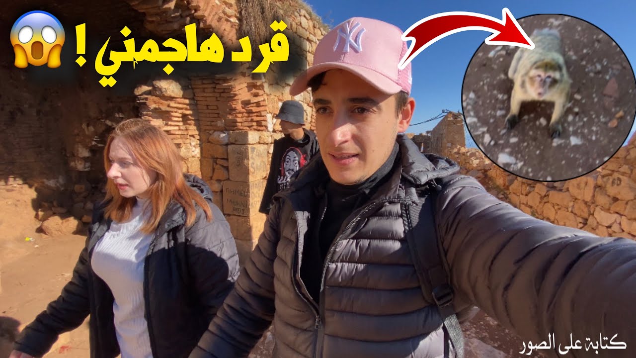 و اخيرا وصلنا انا و زاي الى قمة جبال يما غورايا ببجاية | قرد هاجمني 😱