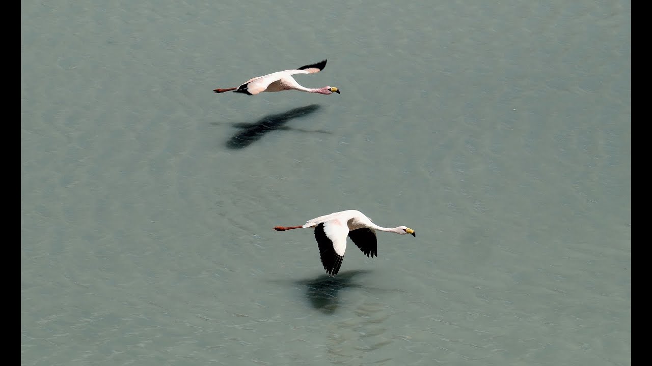 CILE & BOLIVIA VideoDiary 4K
