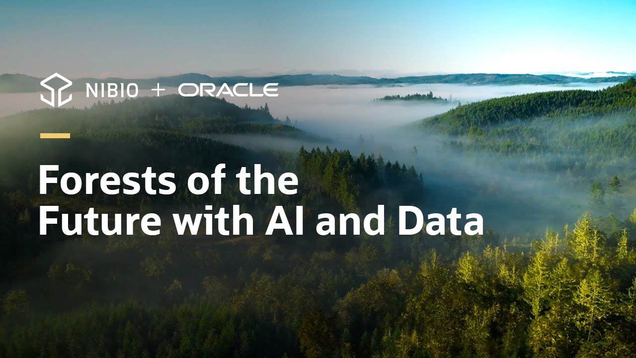 NIBIO Improves Sustainable Forest Management with Data and AI on OCI