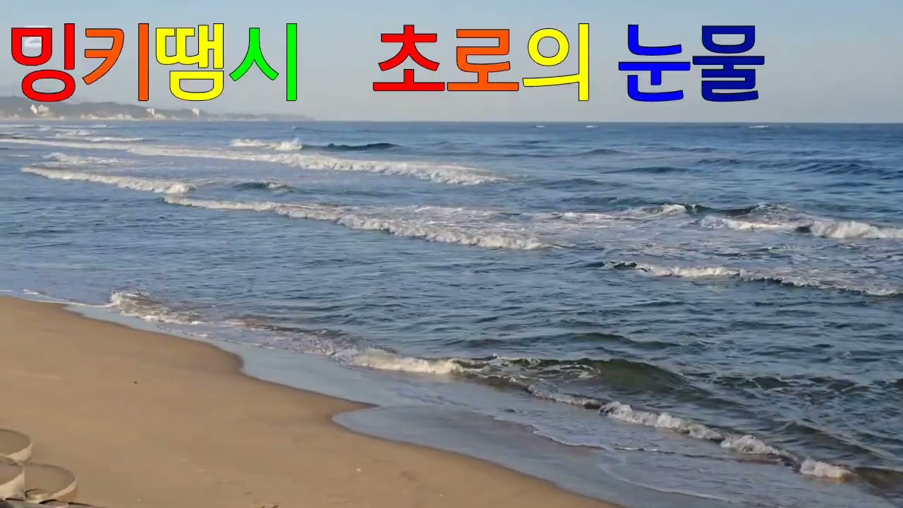 초로의 사랑과 눈물 새로운 상전을 모시다
