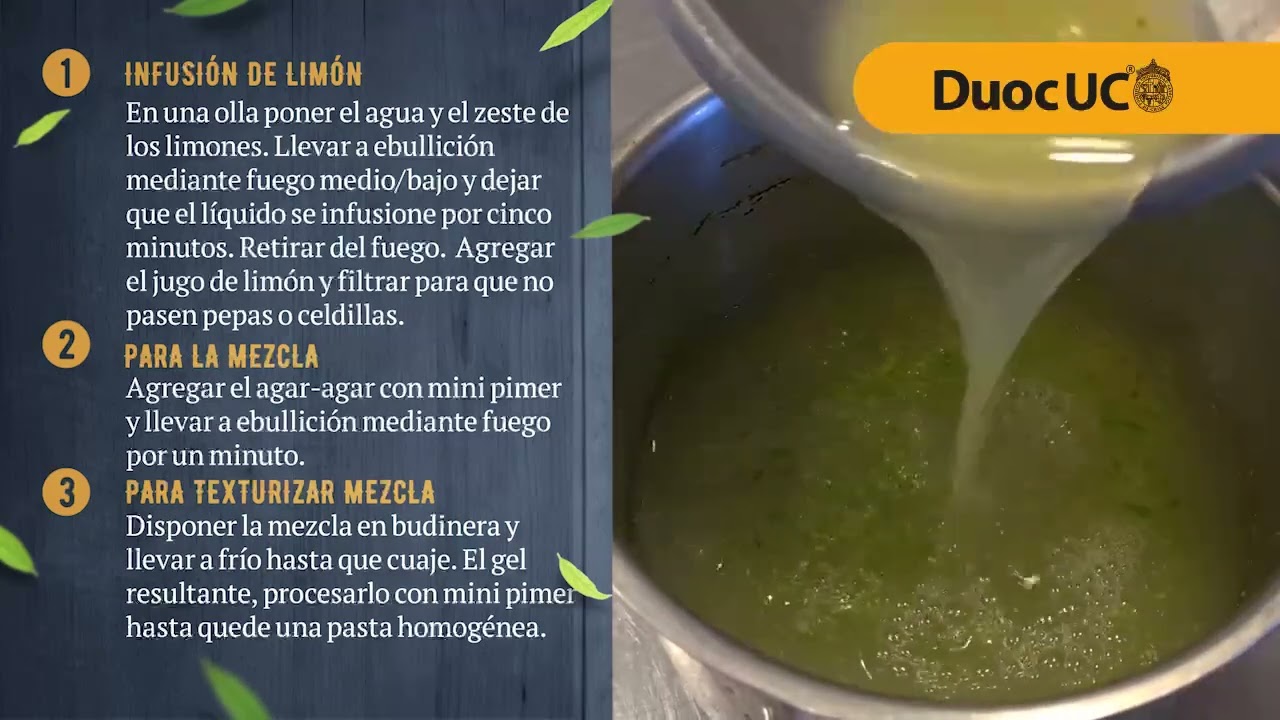 25 GEL DE LIMON Recetario DuocUC