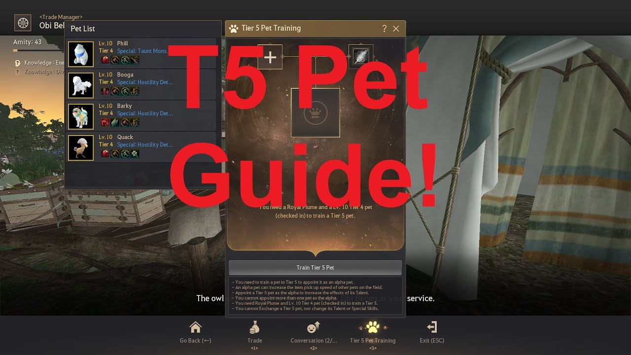 T5 Pet Guide Simplified! | Black Desert Online
