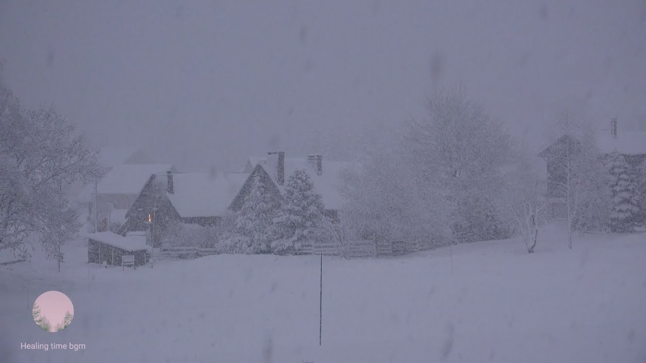 冬の吹雪 豪雪 雪の音 不眠症 癒し 睡眠 リラックス効果音