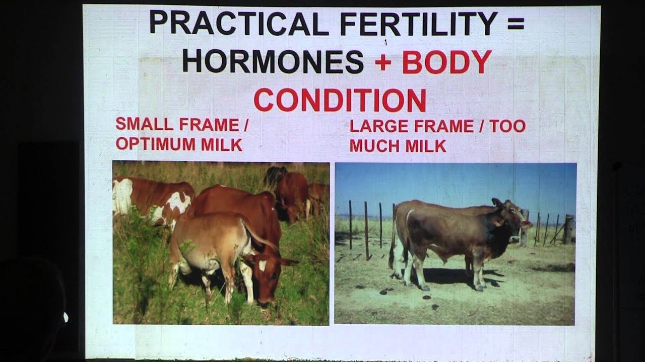 Sustainable Ranching, Day 3 Part 4