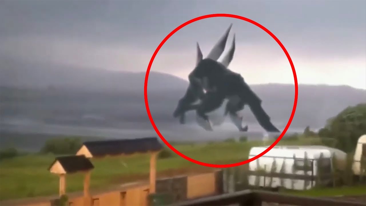 19 Mysterious Sea Creatures Caught on Tape