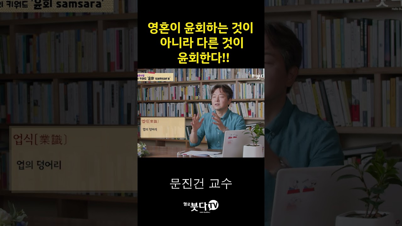 영혼이 윤회하는 것이 아니라 다른 것이 윤회한다 | 불교 자아 무아 윤회 영혼 업식 10분 불교수업 문진건 #shorts