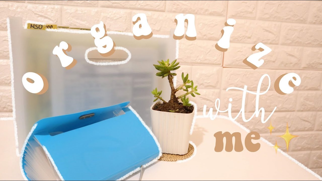 Organize with Me/ How I organize My Documents/ Silent Vlog