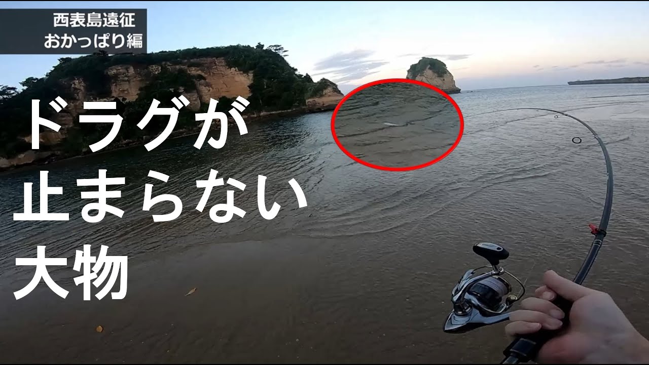 #3 西表島の河口で釣りしたらドラグが止まらない大物が釣れた【西表島/おかっぱり釣り】