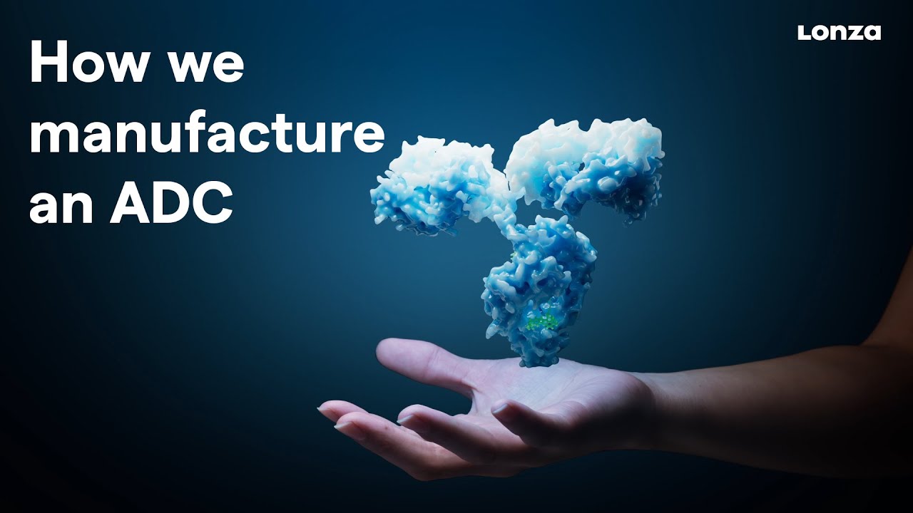 How does a CDMO manufacture an ADC to fight cancer?