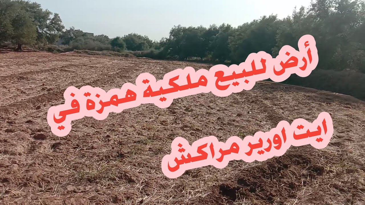 أرض للبيع ملكية منطقة ايت اورير مراكش بثمن مناسب جدا للمزيد من المعلومات 📱0605668188