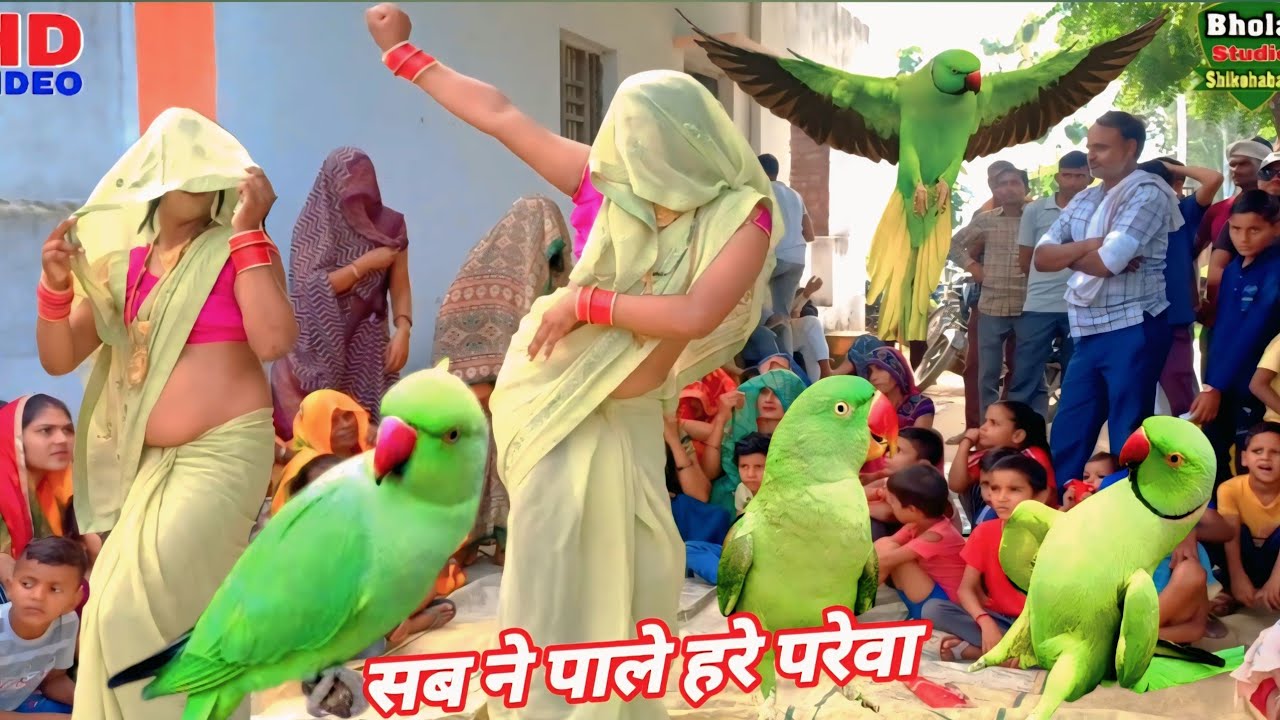 सब ने पाले हरे परेवा /भावज ने पाले देवर रे /dehati lokgeet /rakhi yadav 