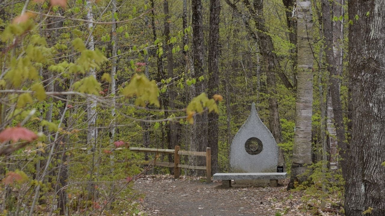 VINS Nature Trail Hike