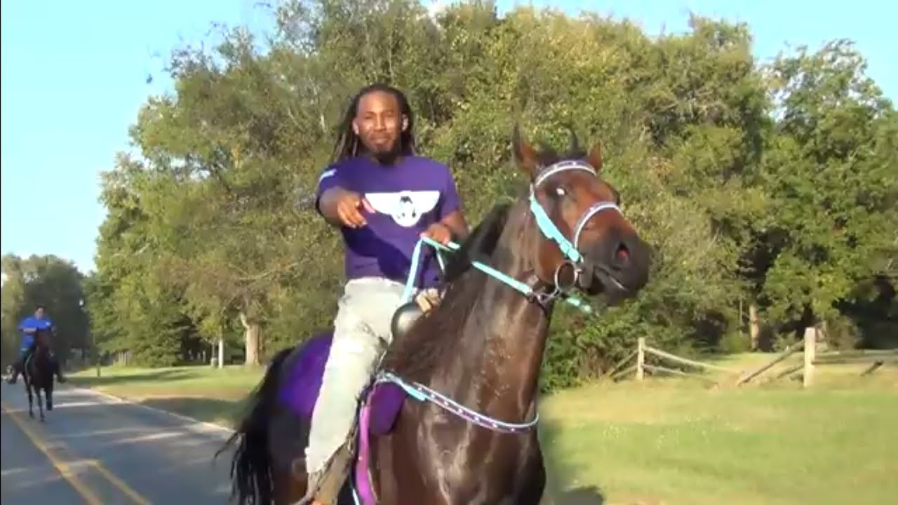 Big Blowout Gilmer Texas Trail Ride for Tennessee Walking Horses
