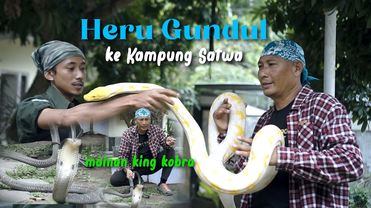 HERU JEJAK SI GUNDUL KE KAMPUNG SATWA