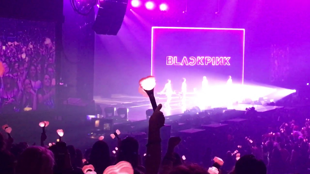 BLACKPINK 블랙핑크 talking to the audience (in french too !) - 1st part - Concert Paris 26 05 2019