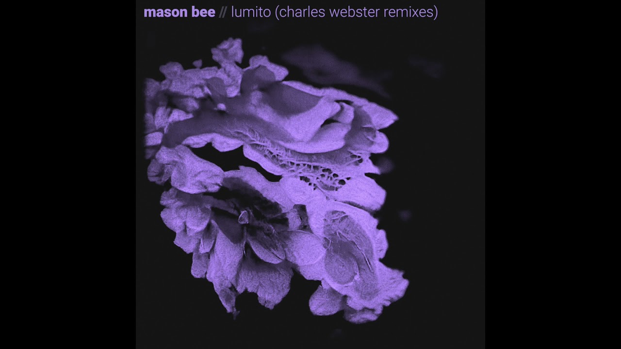 Mason Bee - Lumito (Charles Webster Deep Dub)