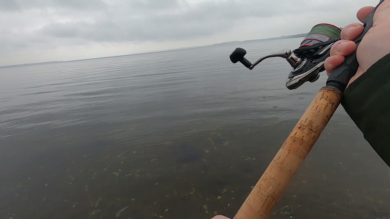 Sommer ved Limfjorden