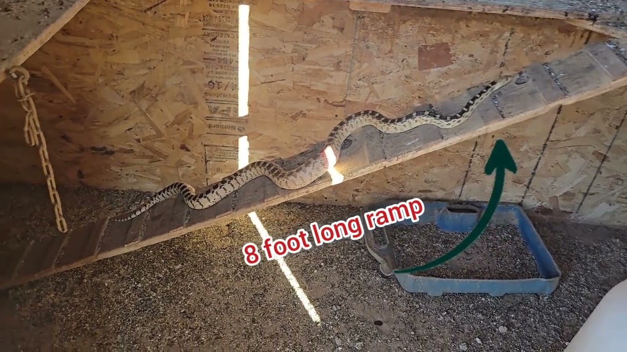Big Wiggle Stick!  March 25, 2026